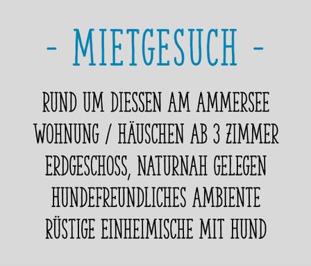 Mietgesuch